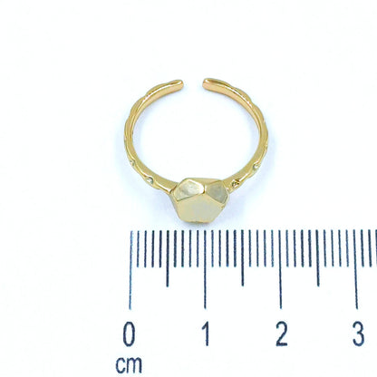 Anillo liso
