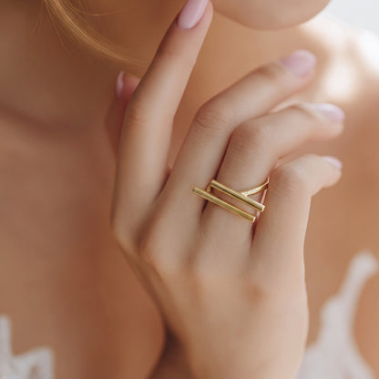 Anillo barras