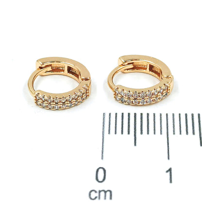 Cdga pequeña microzircones
