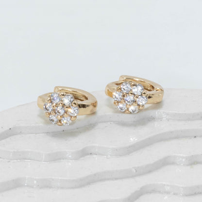 Cdga pequeña microzircones