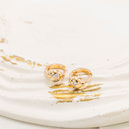 Candonga pequeña honguito