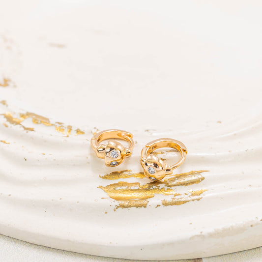 Candonga pequeña honguito