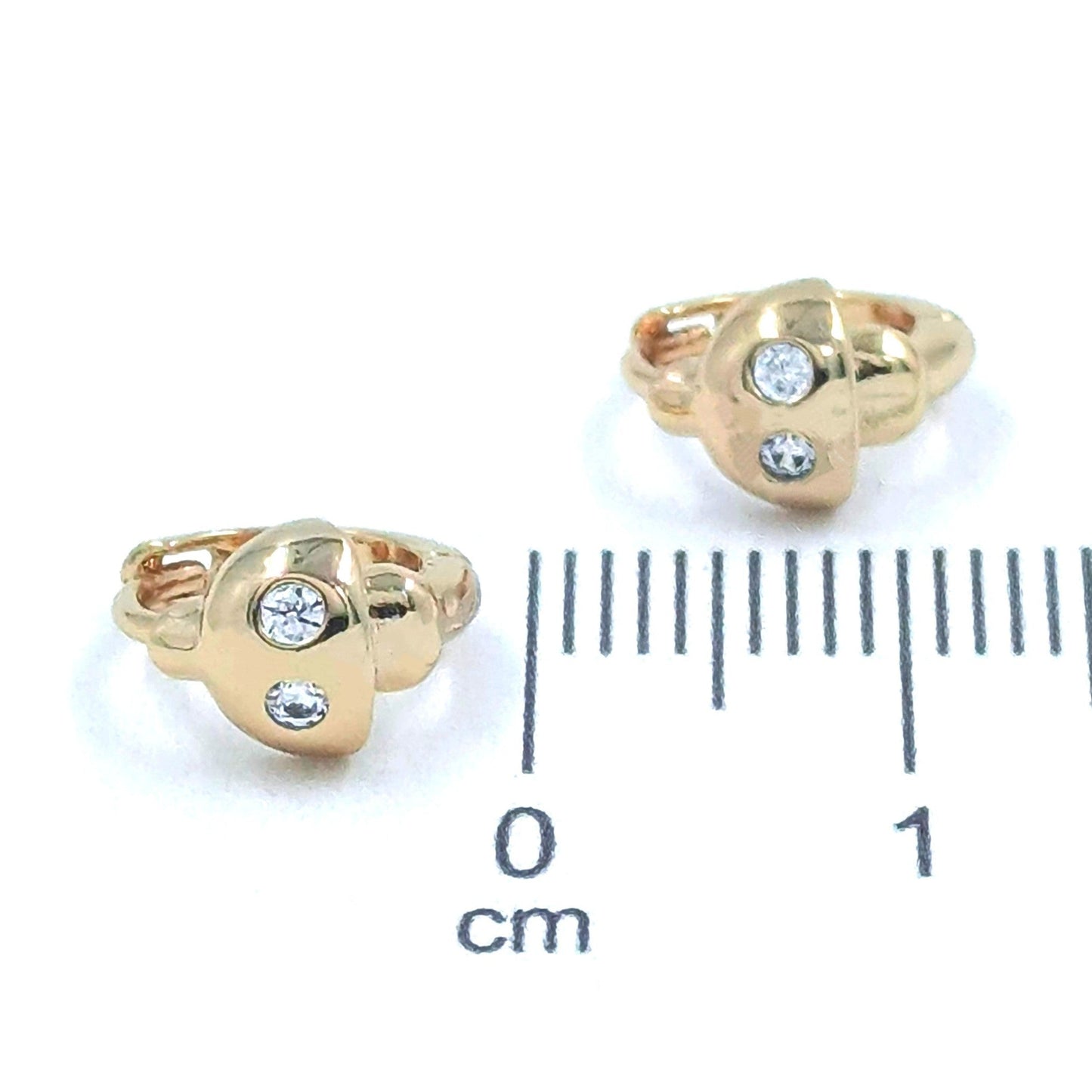 Candonga pequeña honguito