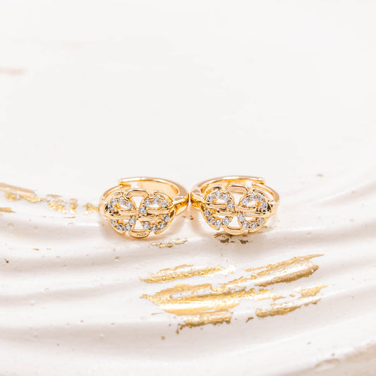 Candonga pequeña microzircón