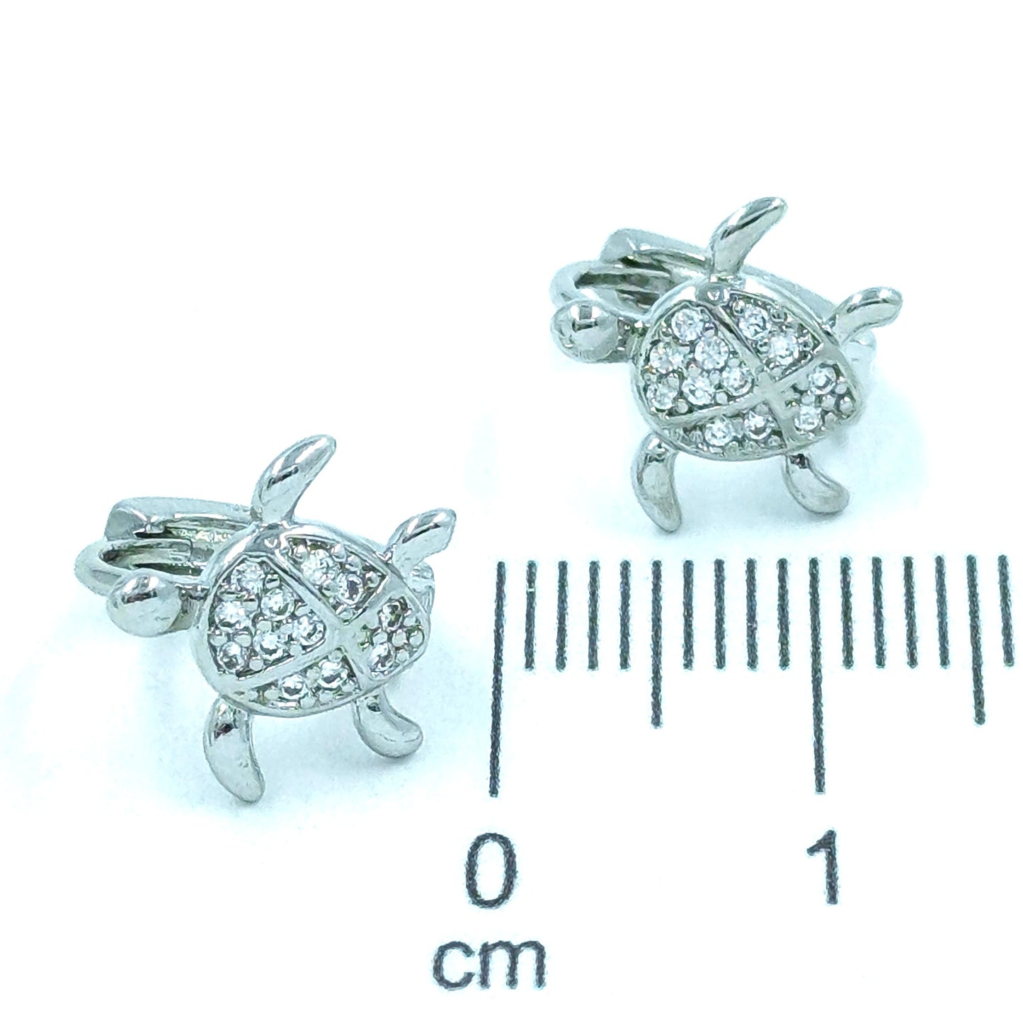 Candonga pequeña tortuga