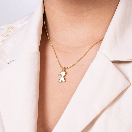 Collar rodio perrito