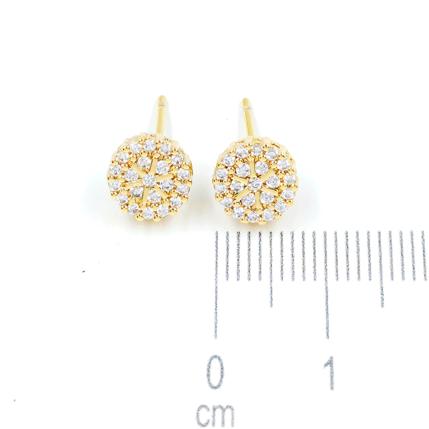 Topo microzircones
