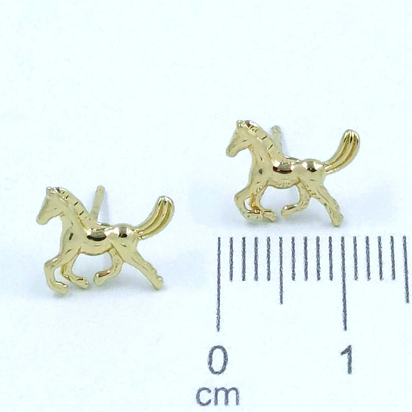 Topo caballo